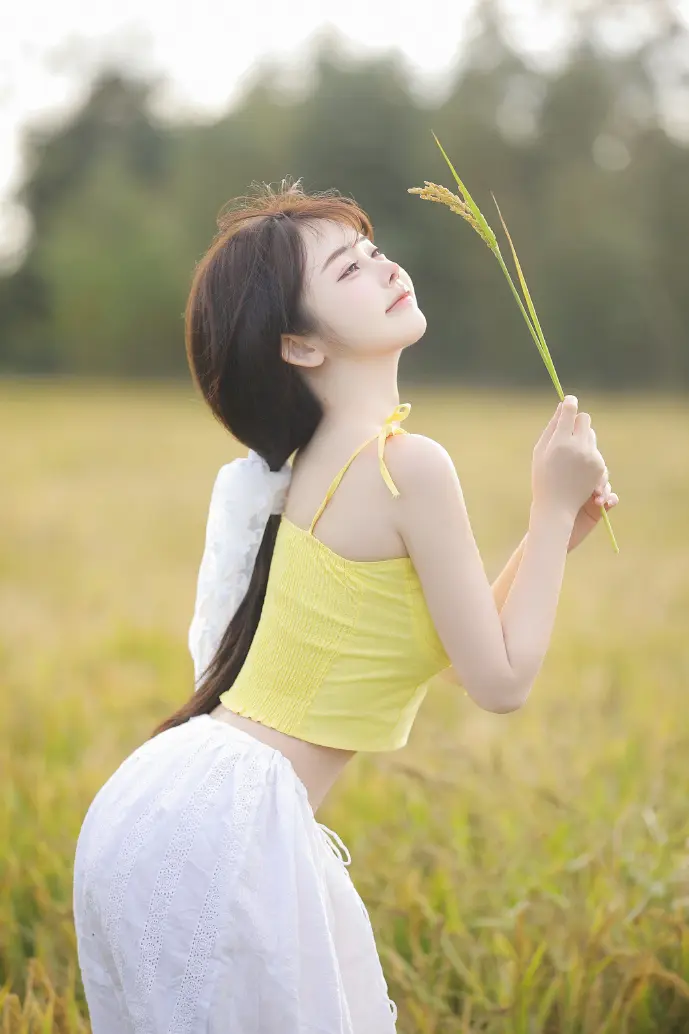 彩虹猫病毒发作示意图