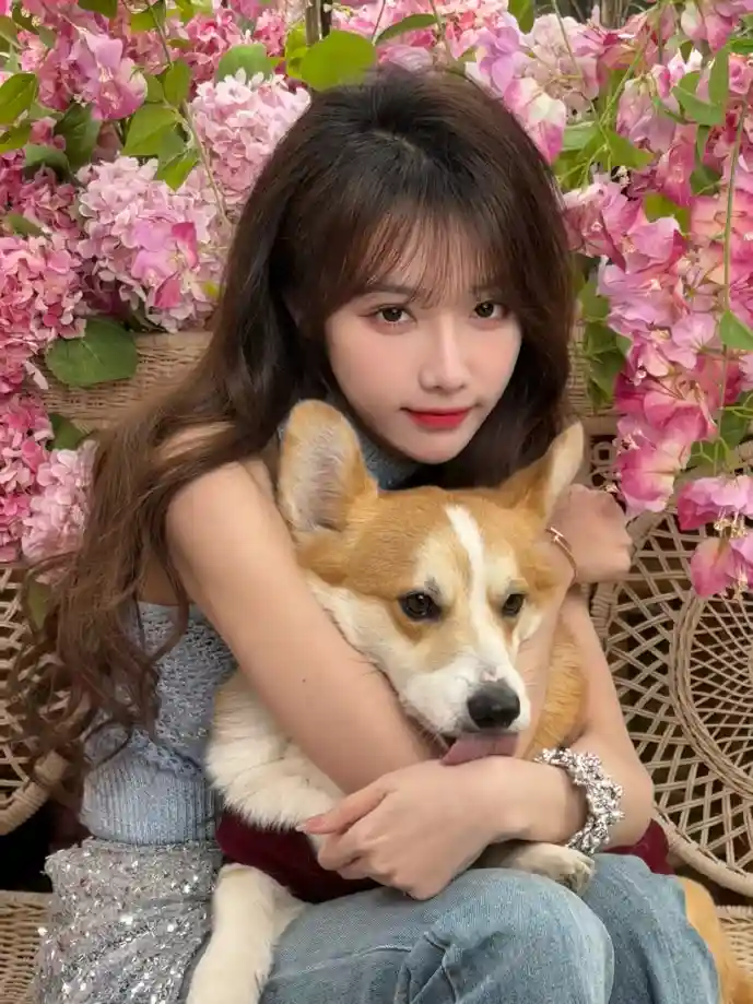 手游市场增长曲线